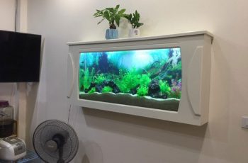 Bể cá treo tường Hải Phòng