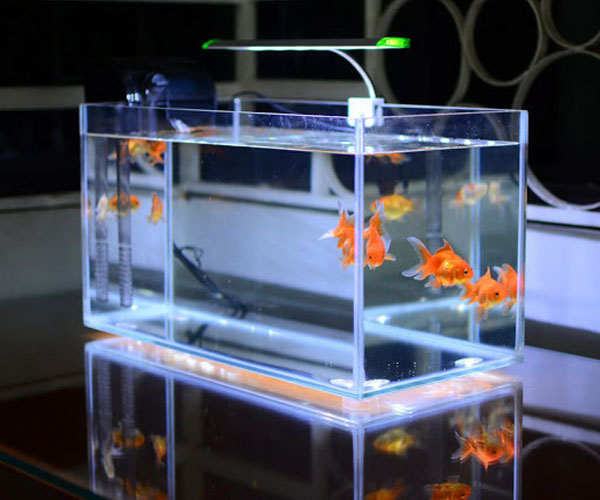 Xưởng cắt kính bể cá tại Hải Phòng